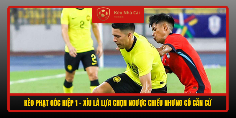Keo Phat Goc Hiep 1 Xiu La Lua Chon Nguoc Chieu Nhung Co Can Cu