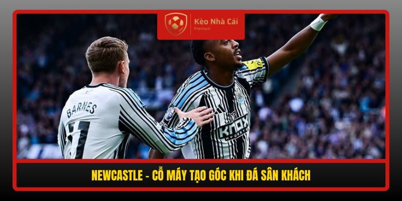 Newcastle Co May Tao Goc Khi Da San Khach